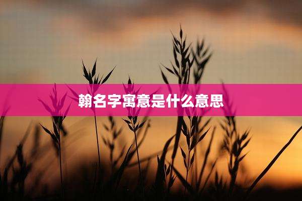翰名字寓意是什么意思
