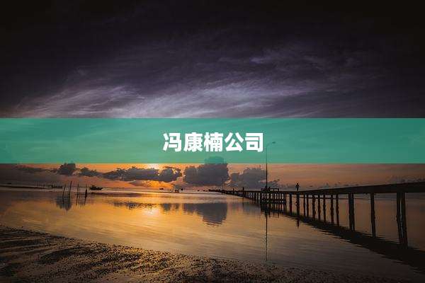 冯康楠公司