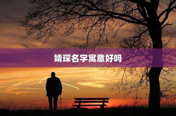 婧琛名字寓意好吗