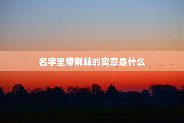 名字里带荆棘的寓意是什么