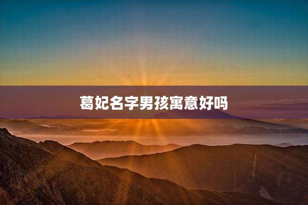 葛妃名字男孩寓意好吗