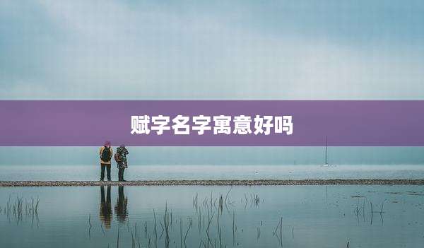 赋字名字寓意好吗