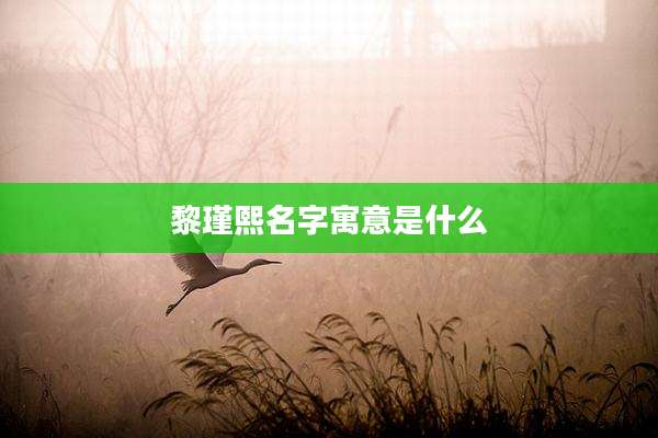 黎瑾熙名字寓意是什么