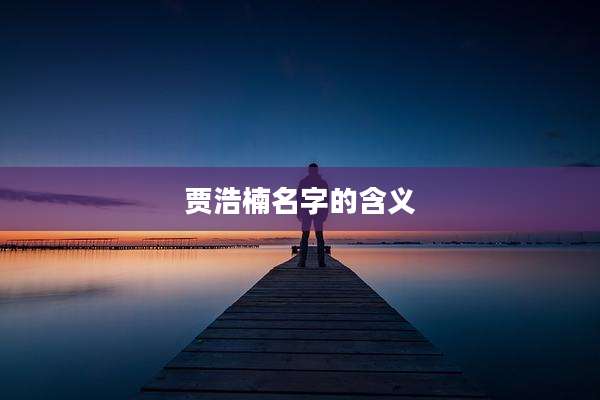 贾浩楠名字的含义