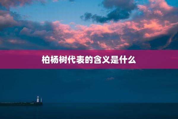 柏杨树代表的含义是什么