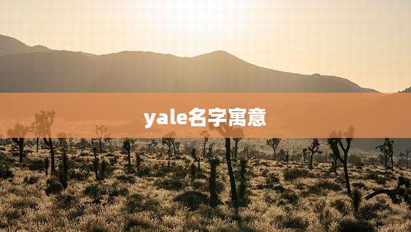 yale名字寓意