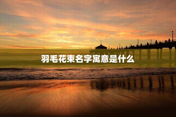 羽毛花束名字寓意是什么