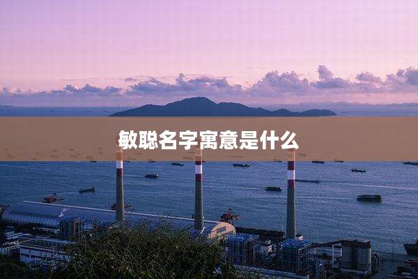 敏聪名字寓意是什么