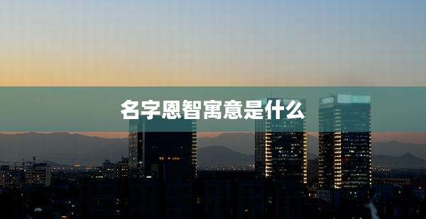 名字恩智寓意是什么