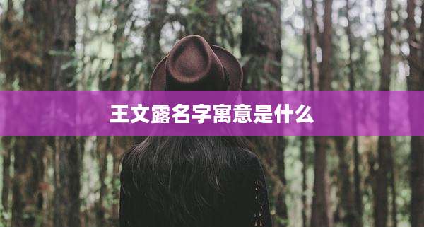 王文露名字寓意是什么