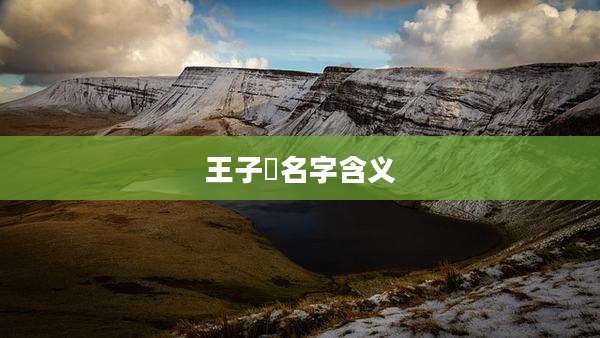 王子莀名字含义