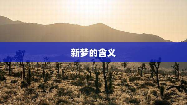 新梦的含义