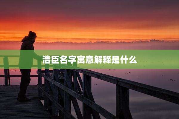 浩臣名字寓意解释是什么