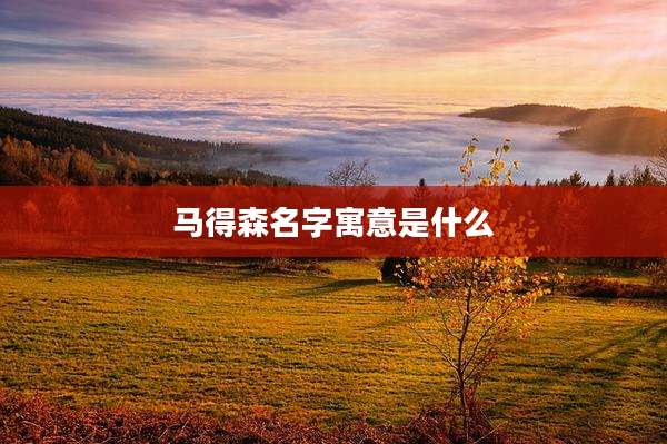 马得森名字寓意是什么