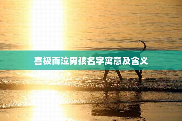 喜极而泣男孩名字寓意及含义