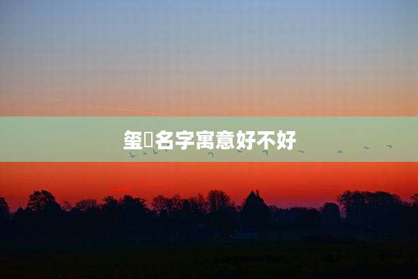 玺璟名字寓意好不好