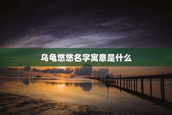 乌龟悠悠名字寓意是什么