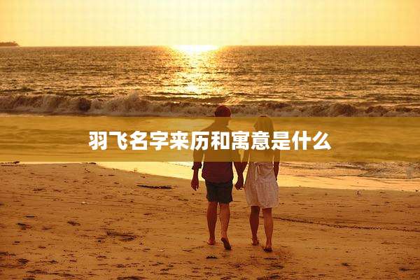羽飞名字来历和寓意是什么