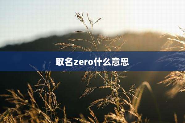 取名zero什么意思