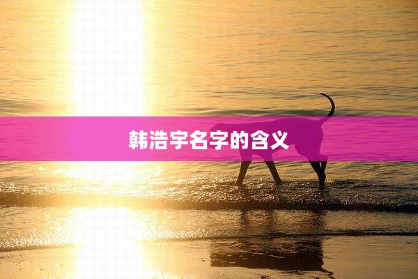 韩浩宇名字的含义