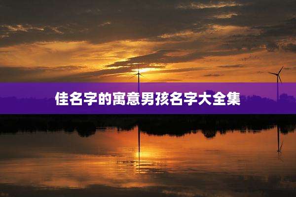 佳名字的寓意男孩名字大全集