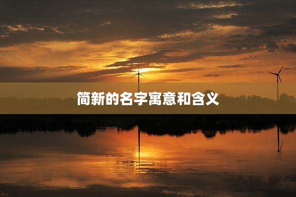 简新的名字寓意和含义