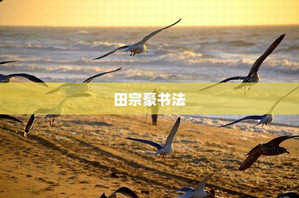 田宗豪书法