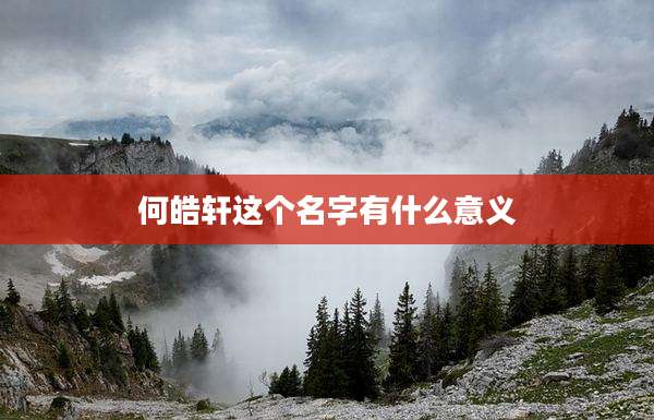 何皓轩这个名字有什么意义