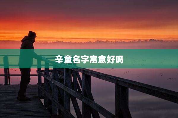 辛童名字寓意好吗