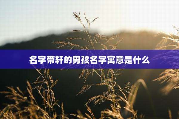 名字带轩的男孩名字寓意是什么