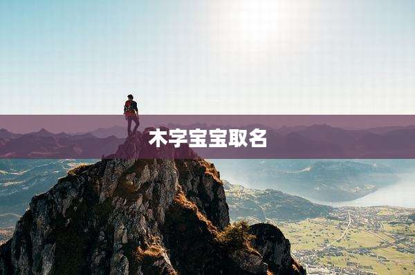 木字宝宝取名