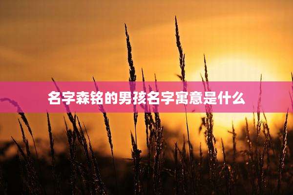 名字森铭的男孩名字寓意是什么