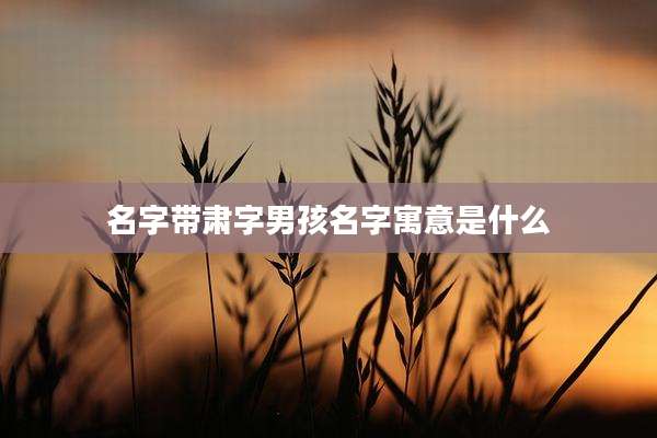 名字带肃字男孩名字寓意是什么