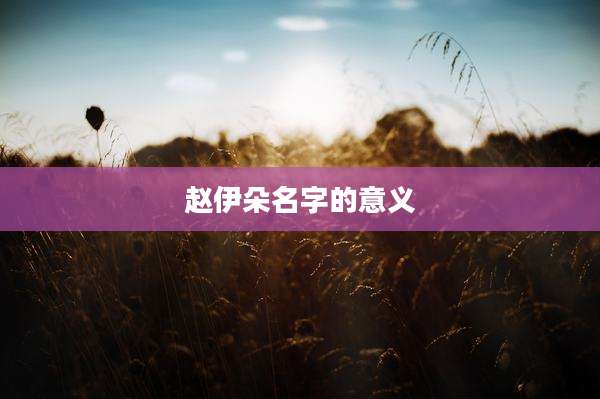 赵伊朵名字的意义