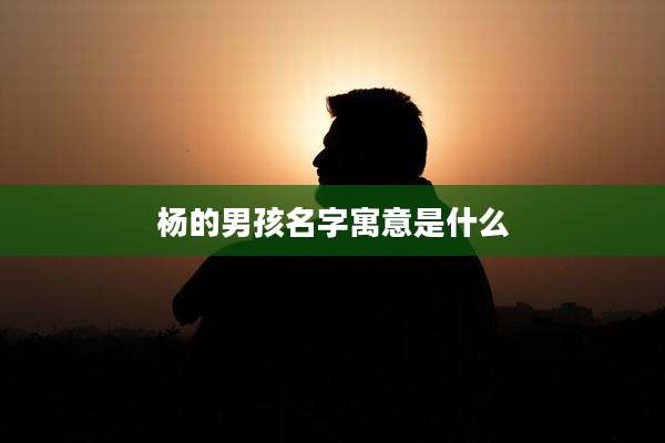 杨的男孩名字寓意是什么