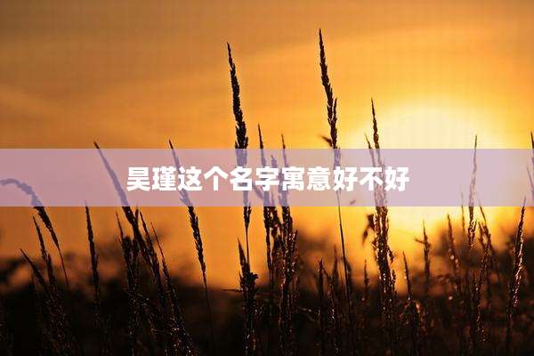 昊瑾这个名字寓意好不好