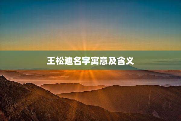 王松迪名字寓意及含义