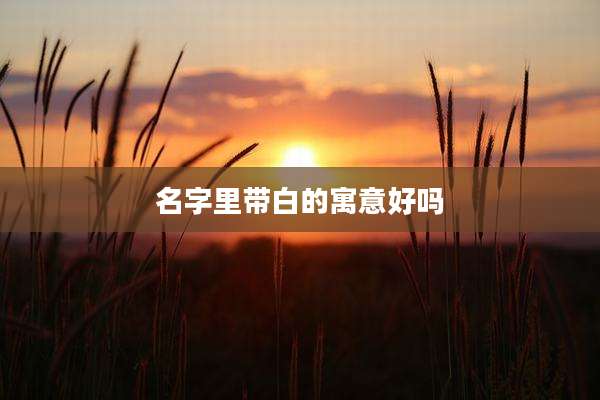 名字里带白的寓意好吗