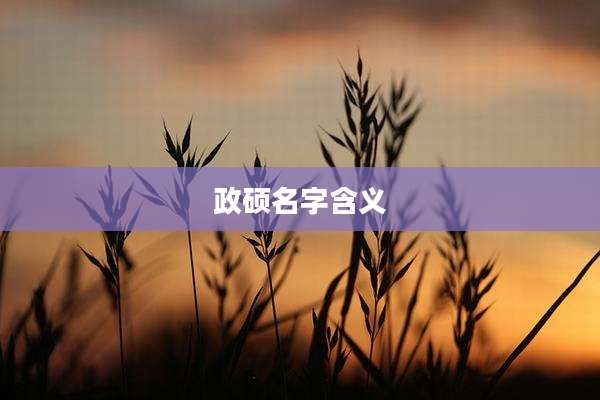 政硕名字含义