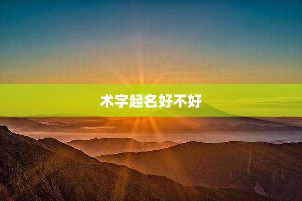 术字起名好不好