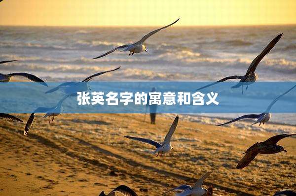 张英名字的寓意和含义
