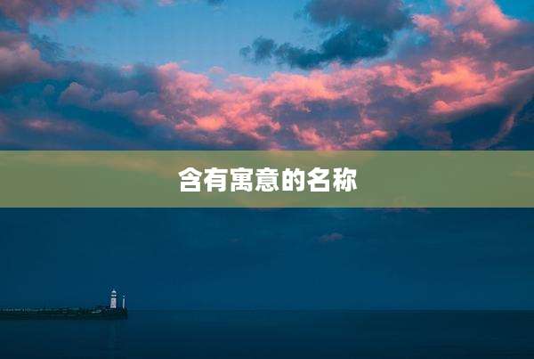 含有寓意的名称