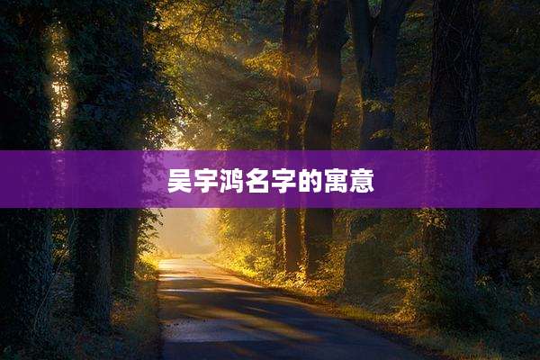 吴宇鸿名字的寓意