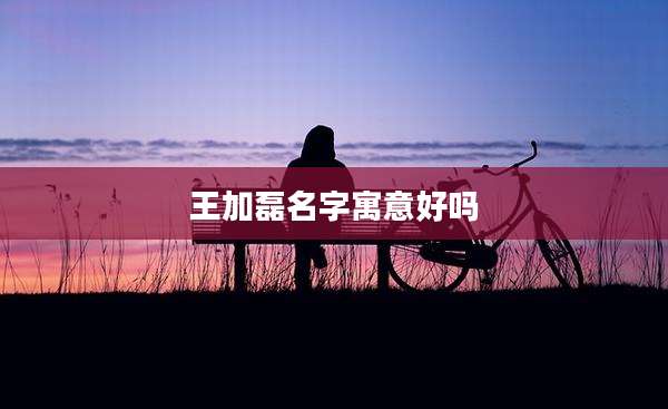 王加磊名字寓意好吗