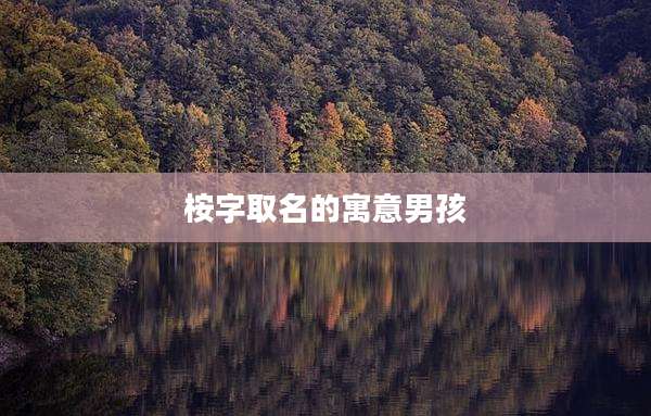 桉字取名的寓意男孩