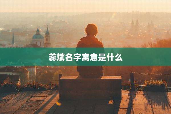 蕊斌名字寓意是什么