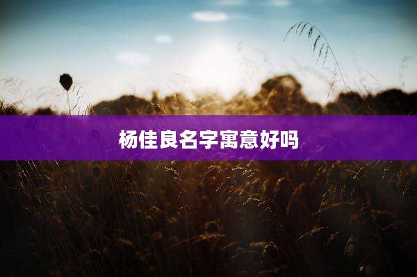 杨佳良名字寓意好吗