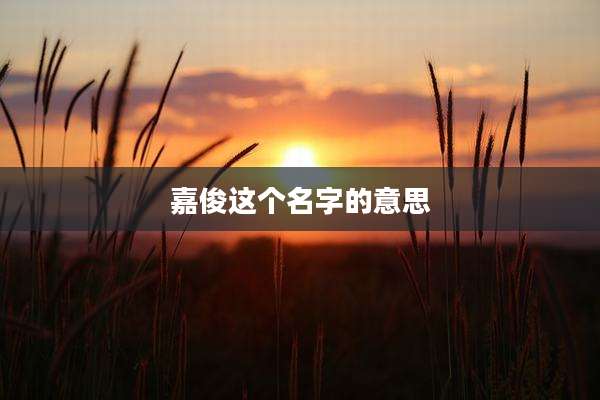 嘉俊这个名字的意思