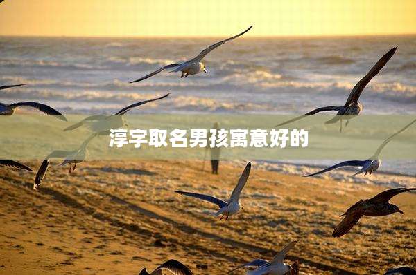 淳字取名男孩寓意好的
