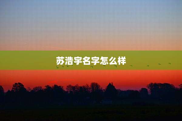 苏浩宇名字怎么样